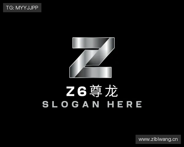 介绍Z6尊龙